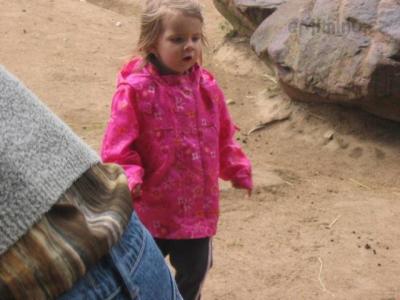 krkonoše 08. 022.jpg