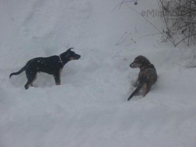 zima morašice 2010 036.jpg
