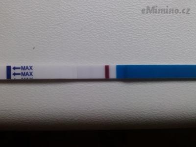 IMG_20131105_120028.jpg