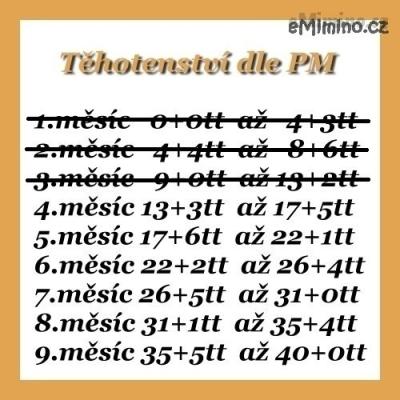 486005.jpg