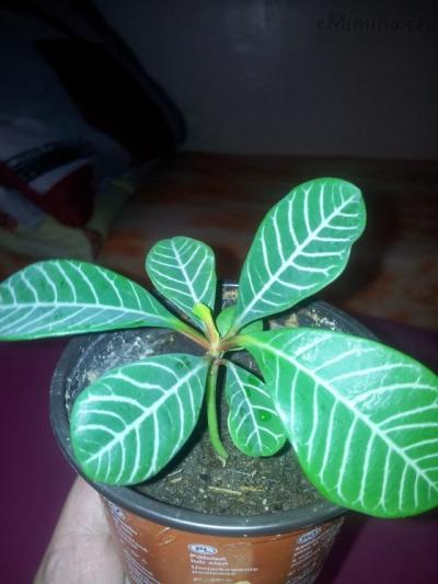 20131115_111546.jpg