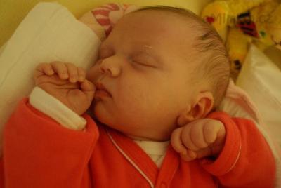 DSC01276.JPG