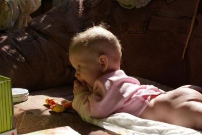 DSC02817 [50%].JPG