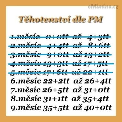 64903285.jpg