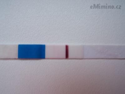 100_5937.JPG
