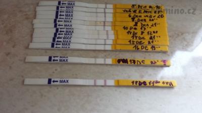 20131124_112938.jpg