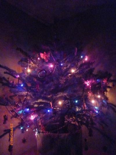 P1010591.JPG