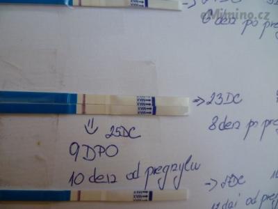 P1050970.JPG