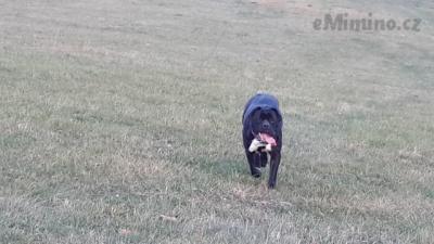 20131112_154042.jpg