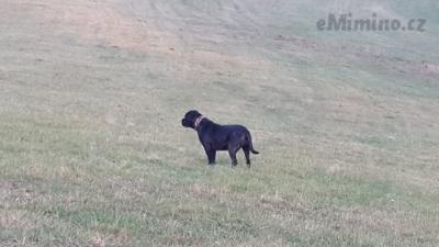 20131112_154037.jpg