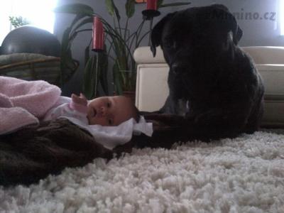 IMG-20131126-00854.jpg