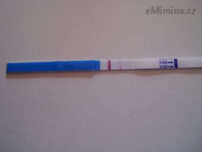 test.JPG