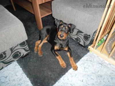 DSCN4535.JPG