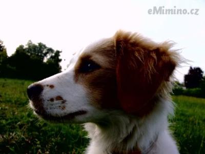 20072013382.jpg