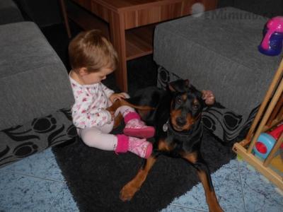 DSCN4533.JPG