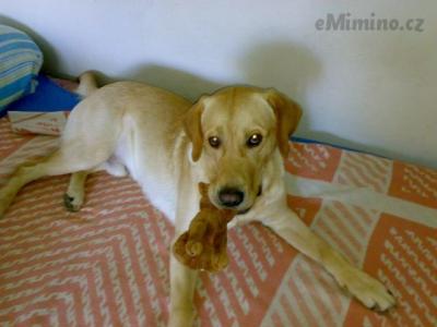 06062010416.jpg