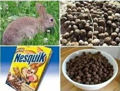 Nesquik.png