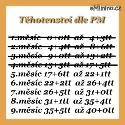 486005.jpg