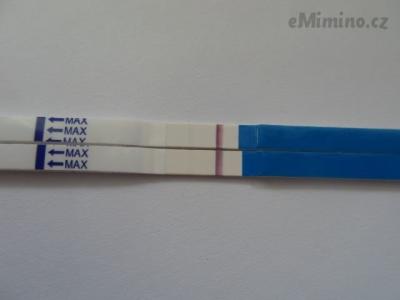 SDC10805.JPG