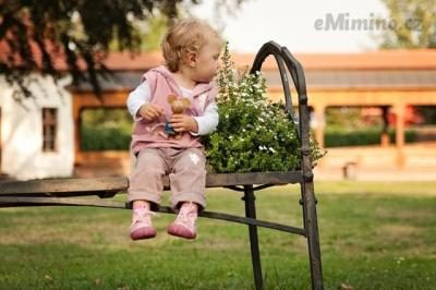 DSC_0695_Mulberry.jpg