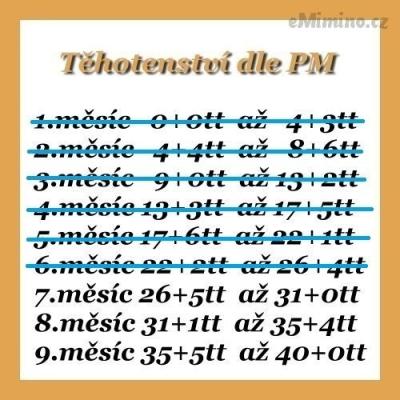 64903285.jpg