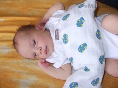 DSCN6537.JPG