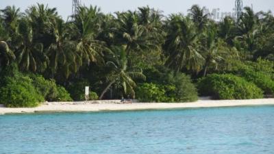 IMG_0420.JPG