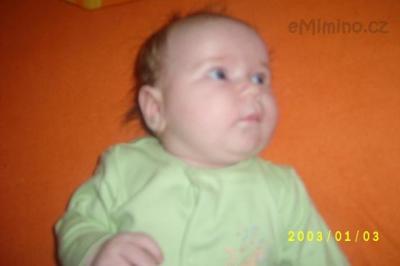 S3600647.JPG
