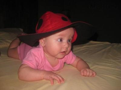 IMG_0355.jpg