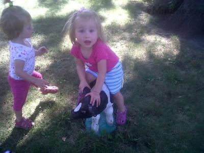 IMG01699-20120909-1520.jpg