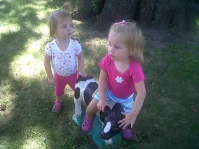 IMG01702-20120909-1521.jpg
