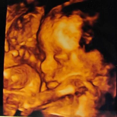 1040591.jpg
