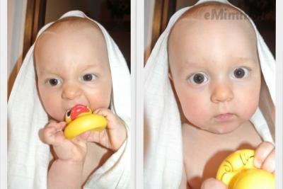 kukuk1.jpg