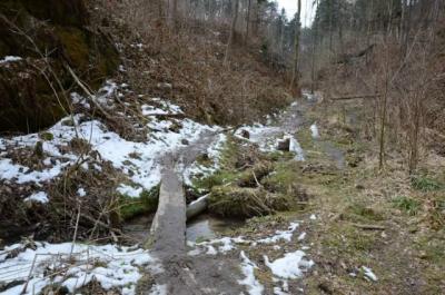 DSC_0095_resize.jpg