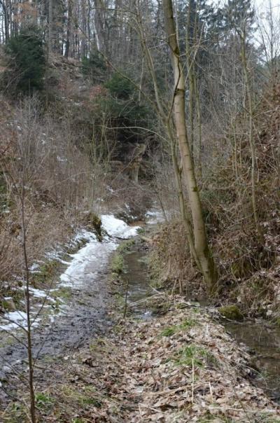 DSC_0094_resize.jpg