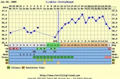 januar-februar 2009.jpg