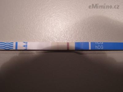 test.JPG