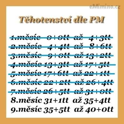 64903285.jpg