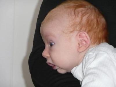 Leden 2010 002.jpg