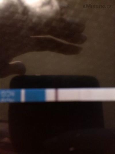 1891189_1418352275072799_1602471284_n.jpg