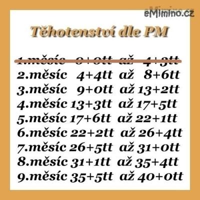 486005.jpg