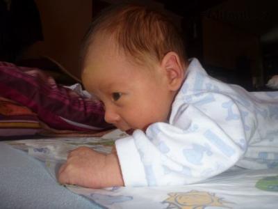 P1050005.JPG