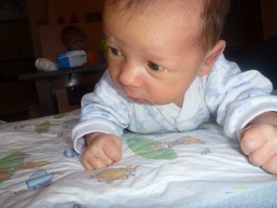 P1050006.JPG
