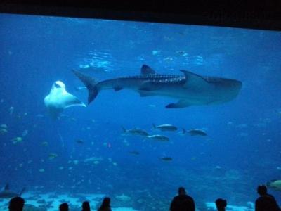 20131214_111136.jpg