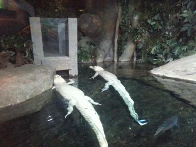 20131214_134231.jpg