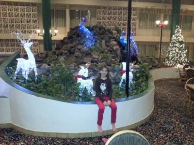 20131206_181212.jpg