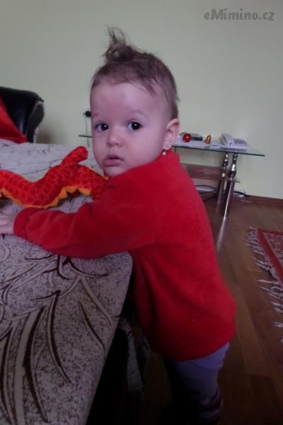 SAM_0140.JPG