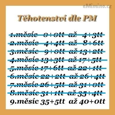 64903285.jpg