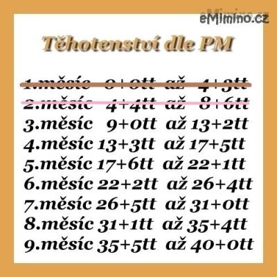 486005.jpg