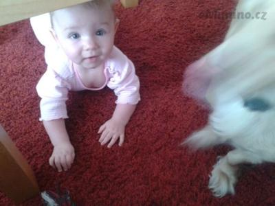2014-02-25 10.11.53.jpg